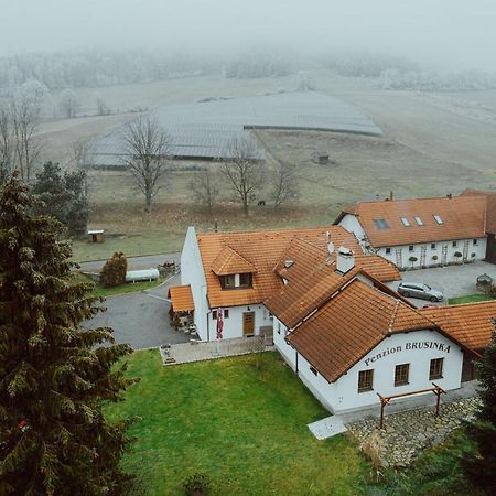 Penzion Brusinka Kocourov  Exterior photo